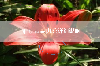 泸州九宫详细说明