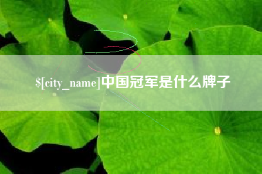 泸州中国冠军是什么牌子
