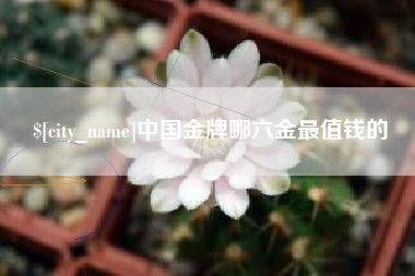 泸州中国金牌哪六金最值钱的
