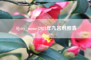 泸州2021年九宫对照表