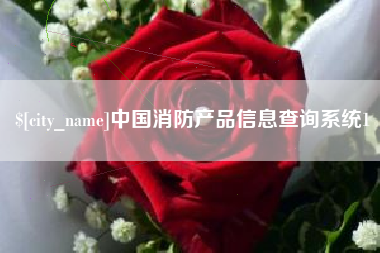 泸州中国消防产品信息查询系统1