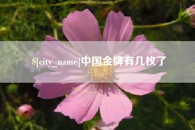 泸州中国金牌有几枚了
