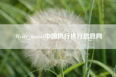 泸州中国执行执行信息网