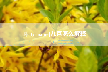 泸州九宫怎么解释