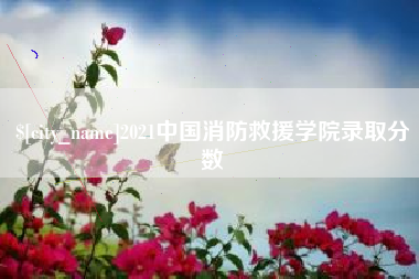 泸州2021中国消防救援学院录取分数