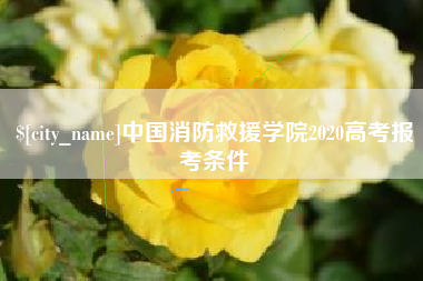 泸州中国消防救援学院2020高考报考条件