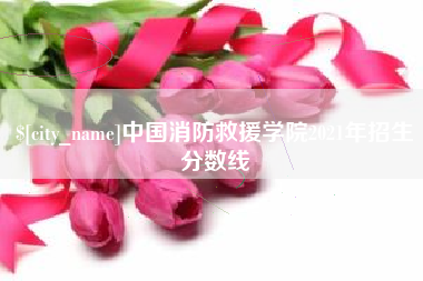 泸州中国消防救援学院2021年招生分数线