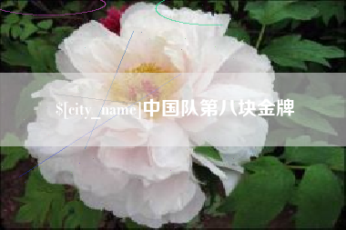 泸州中国队第八块金牌