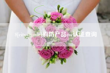 泸州消防产品ccc认证查询
