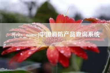 泸州中国消防产品查询系统