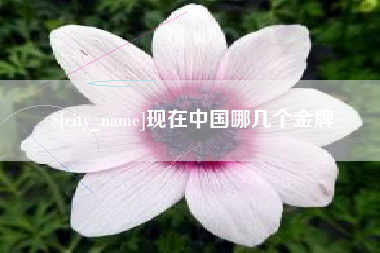 泸州现在中国哪几个金牌
