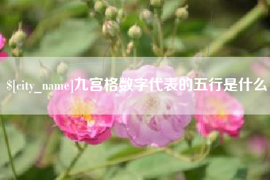 泸州九宫格数字代表的五行是什么