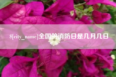 泸州全国的消防日是几月几日