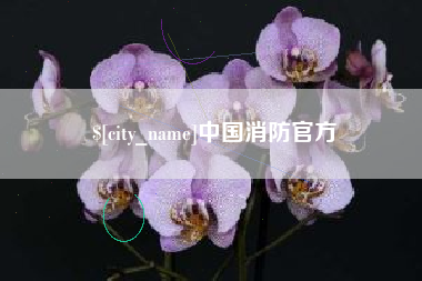 泸州中国消防官方