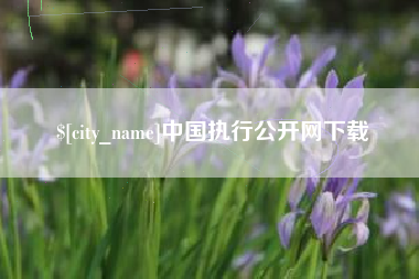 泸州中国执行公开网下载