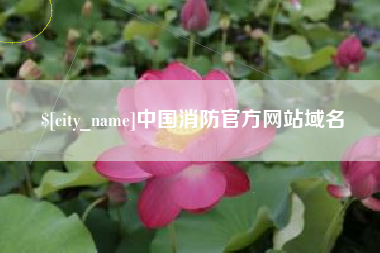 泸州中国消防官方网站域名