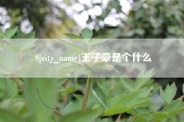 泸州王子豪是个什么