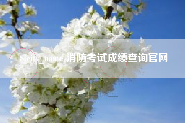 泸州消防考试成绩查询官网