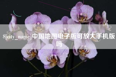 泸州中国地图电子版可放大手机版吗