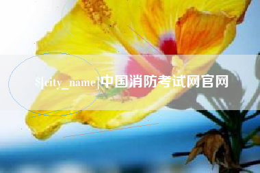 泸州中国消防考试网官网