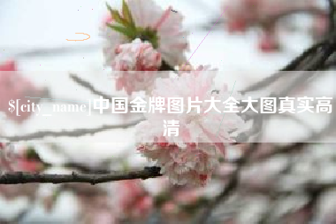 泸州中国金牌图片大全大图真实高清