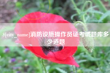 泸州消防设施操作员证考试题库多少道题