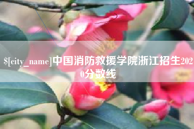 泸州中国消防救援学院浙江招生2020分数线