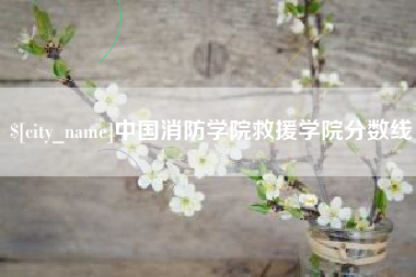 泸州中国消防学院救援学院分数线