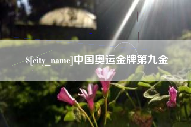 泸州中国奥运金牌第九金