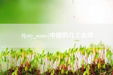 泸州中国的几个金牌