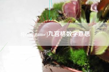 泸州九宫格数字意思