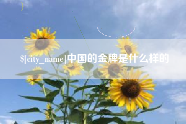 泸州中国的金牌是什么样的
