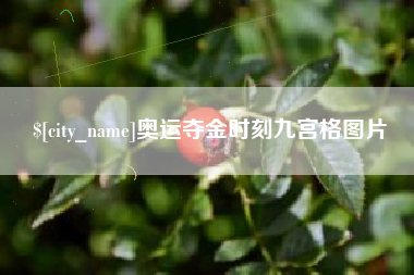 泸州奥运夺金时刻九宫格图片