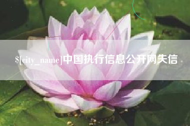 泸州中国执行信息公开网失信