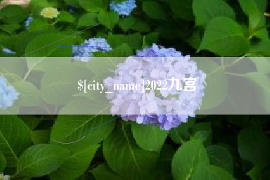 泸州2022九宫