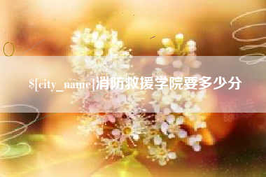 泸州消防救援学院要多少分