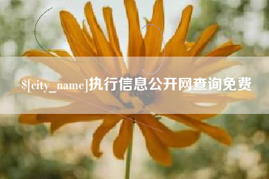 泸州执行信息公开网查询免费